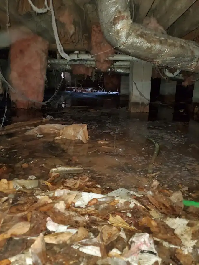 Crawl space flood assessment for Leak Detection & Repair in Miramar Beach